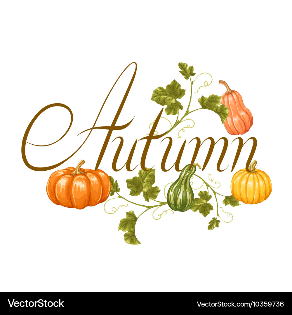 Autumn background with pumpkins Decorative Vector Image