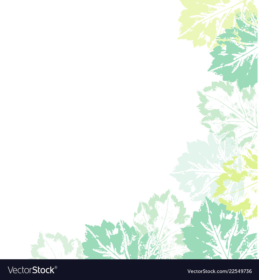 Banner template corner decoration of leaf prints vector image Banner template corner decoration of leaf prints