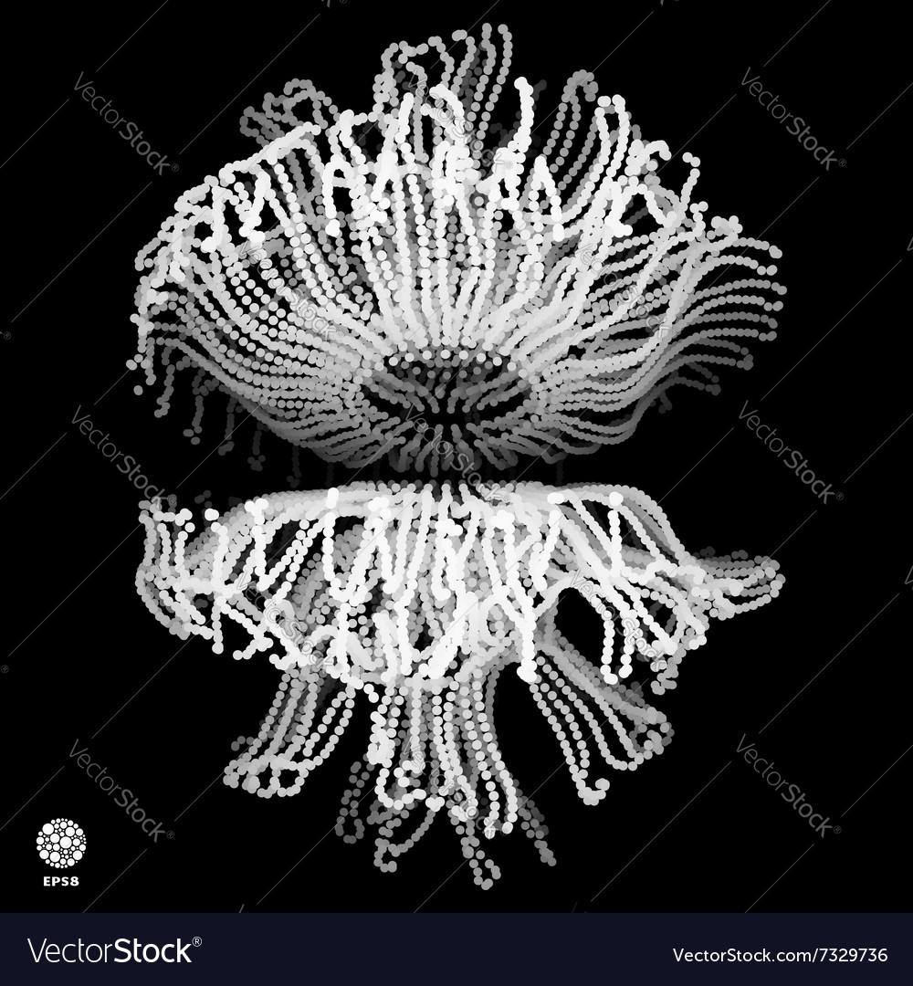 Complex Network Structure