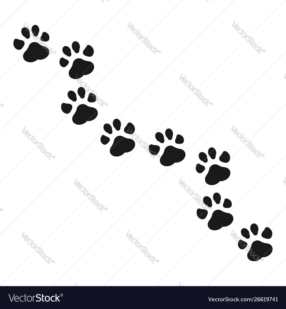 Paw print vector image Paw print
