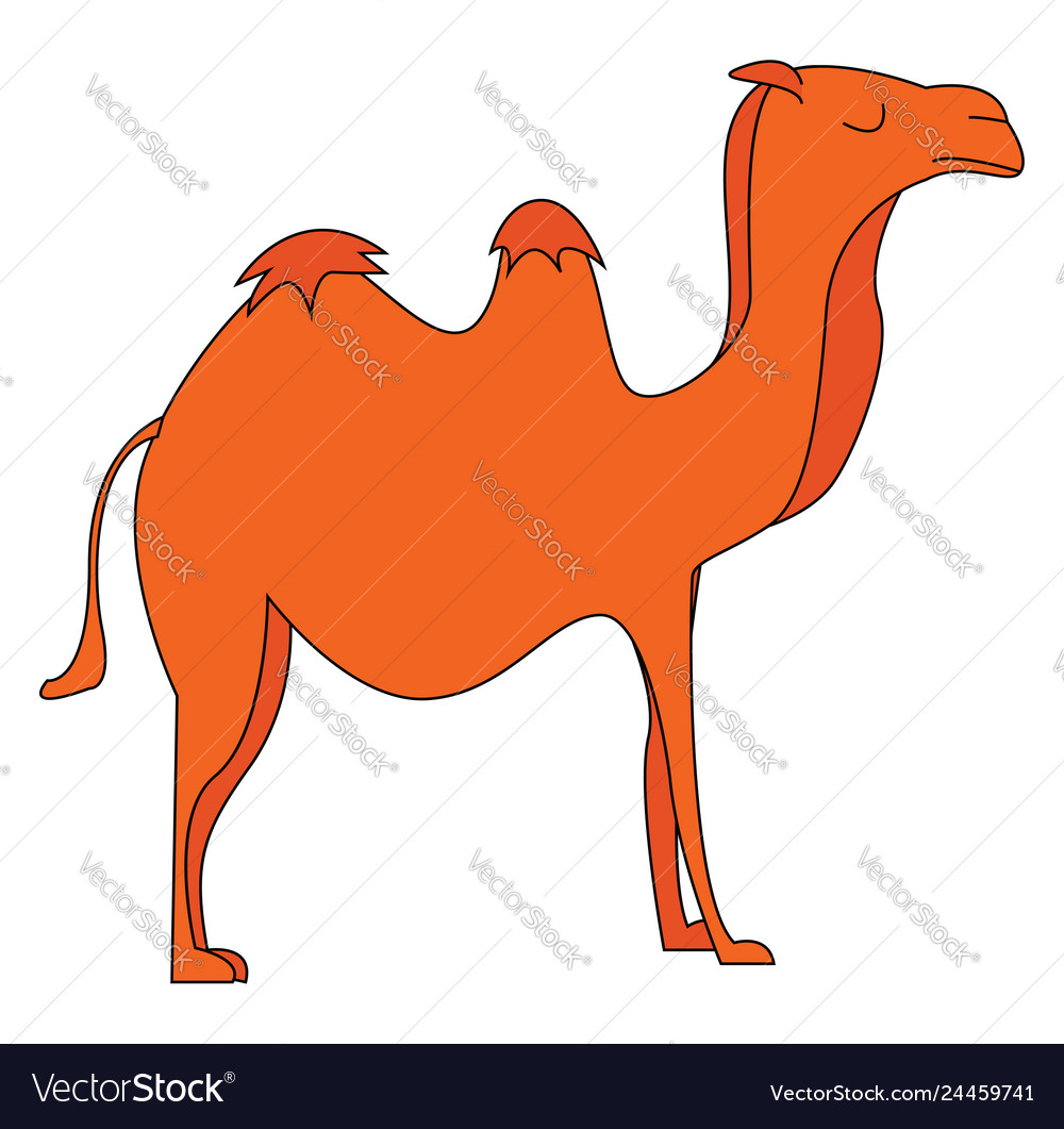 Silhouette of a camel or color