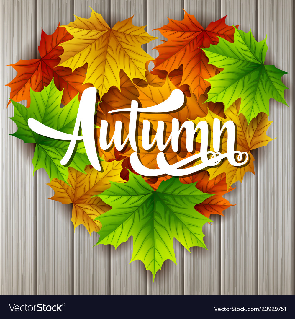 Autumn sale banner with colorful leaves