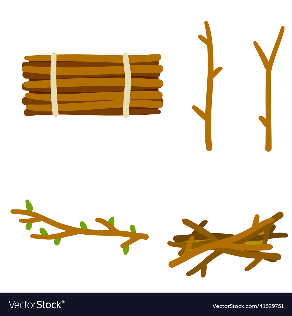 Set of wood twigs for fire Royalty Free Vector Image