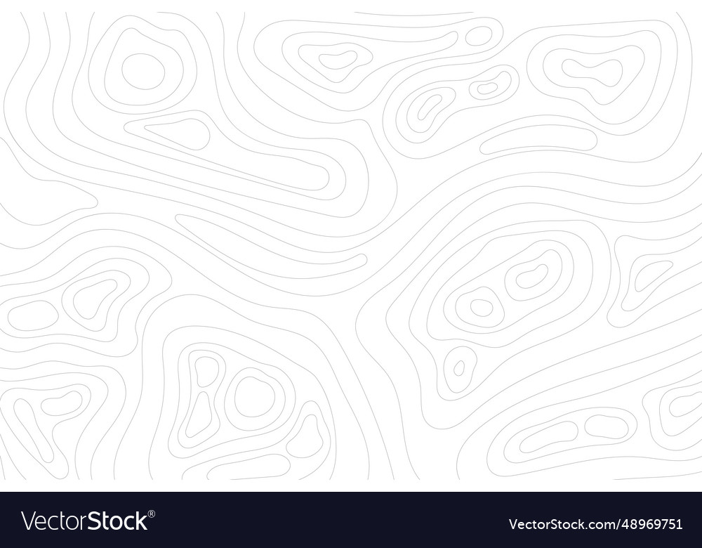 Topographic map background geographic line vector image Topographic map background geographic line