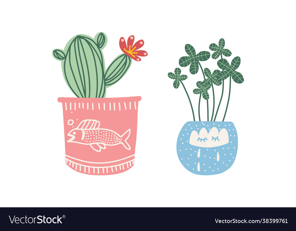 Decorative flower and plant growing in ceramic pot