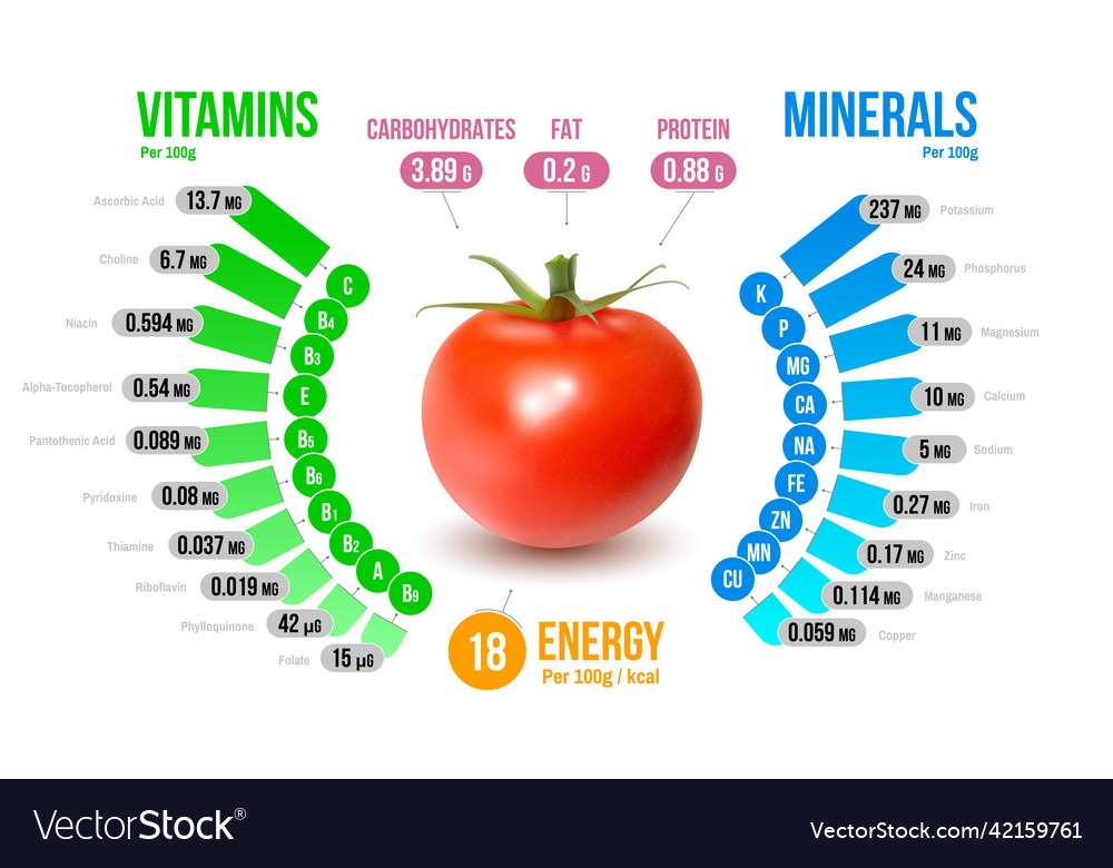 Tomato nutrients infographics diagram Royalty Free Vector