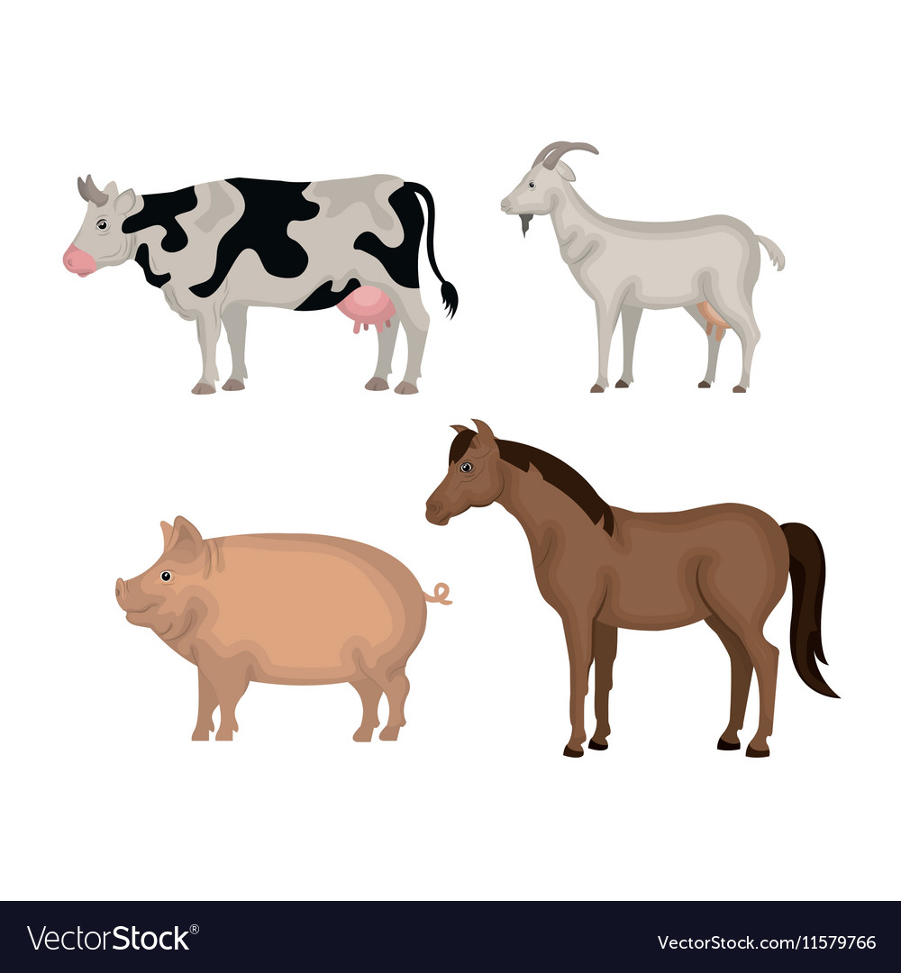 Animals farm domestic icon