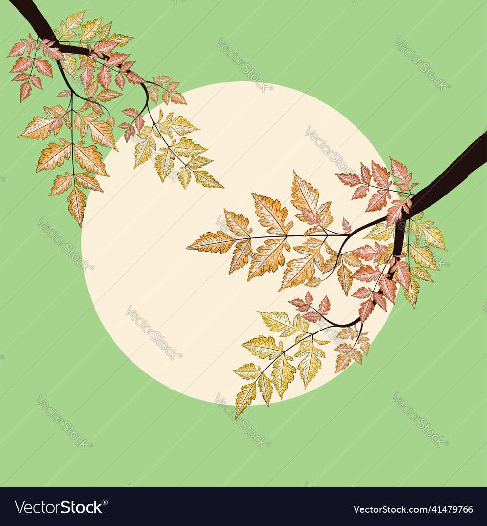 Branch With Autumn Leaves Royalty Free Vector Image Branch With Autumn Leaves Royalty Free Vector Image