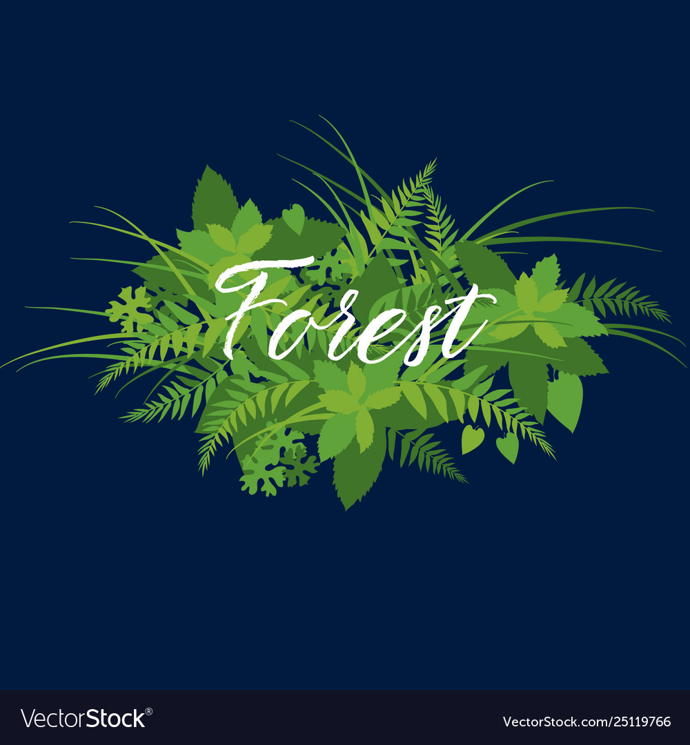 Forest Foliage Leaves Banner With Calligraphy Vector Image