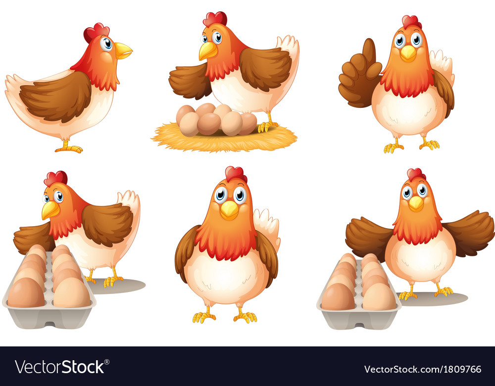 Six hens Royalty Free Vector Image - VectorStock