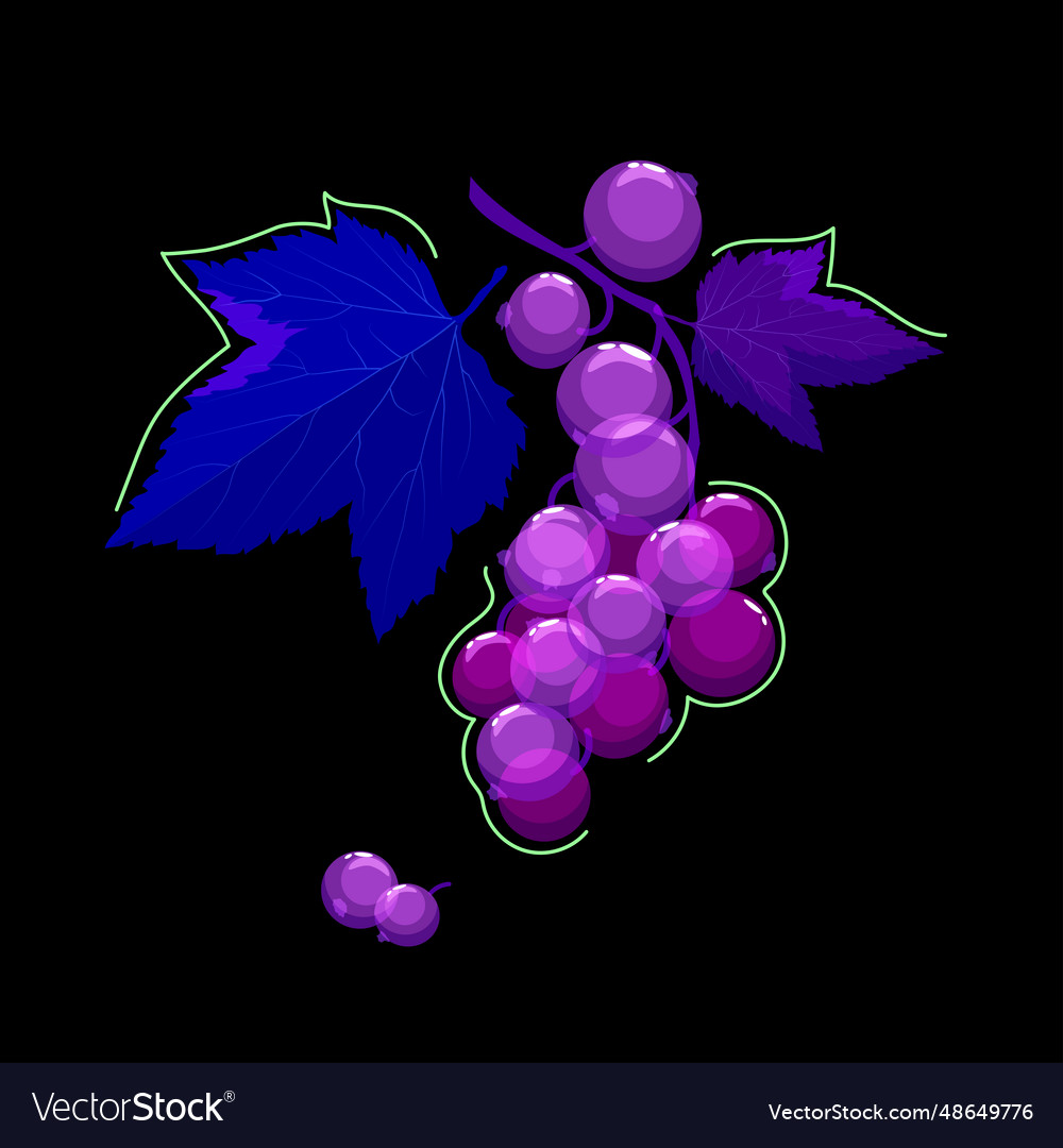 Currant branch with different transparency Vector Image Currant branch with different transparency