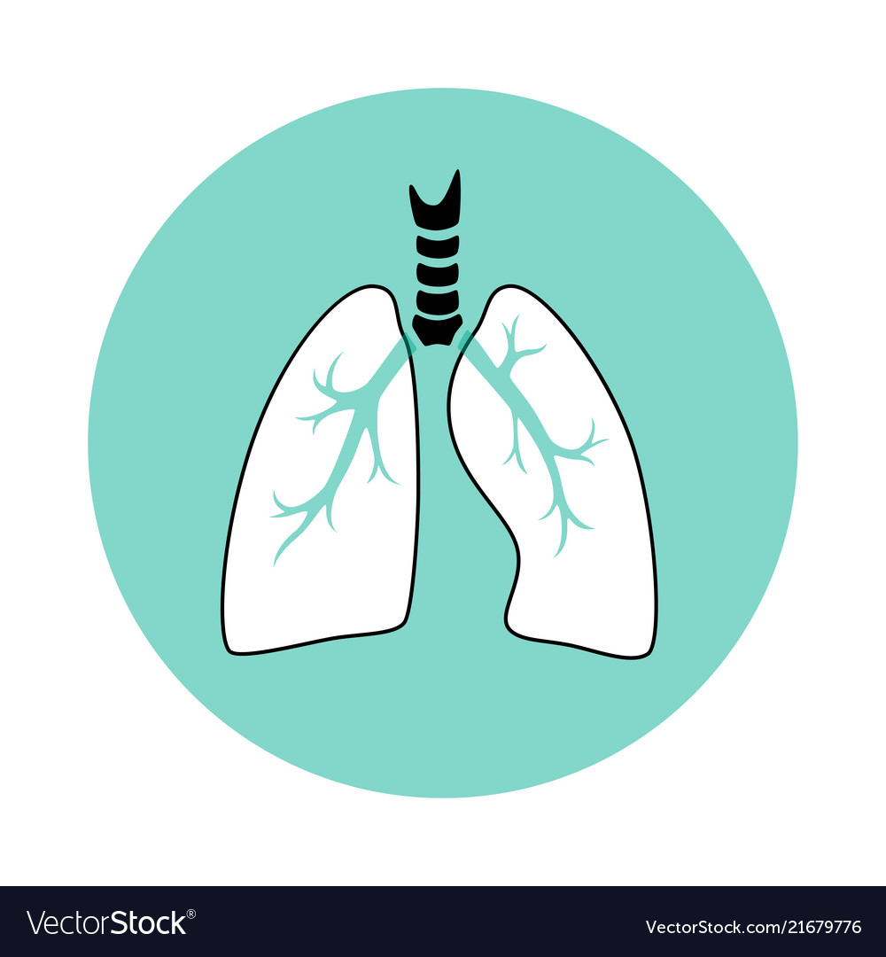 Isolated lung Royalty Free Vector Image - VectorStock