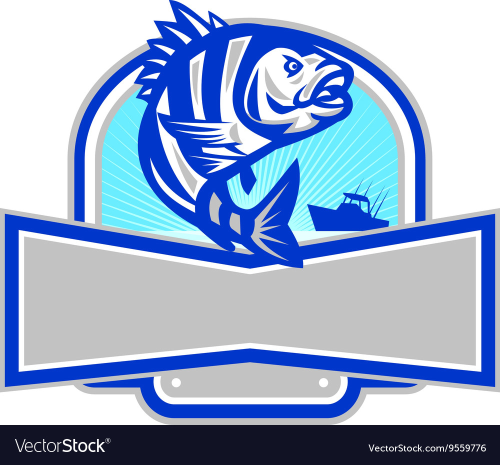 Sheepshead fish jumping fishing boat banner retro Vector Image