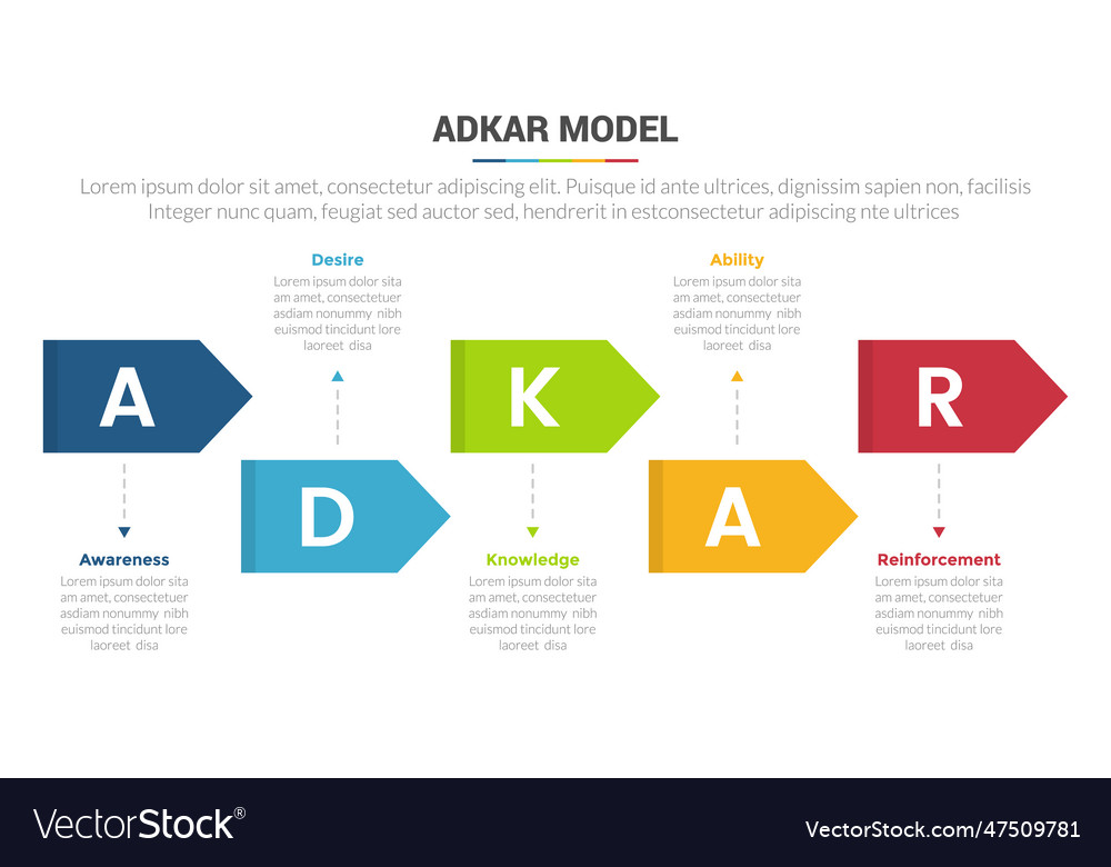 Adkar change management model stage infographics Vector Image