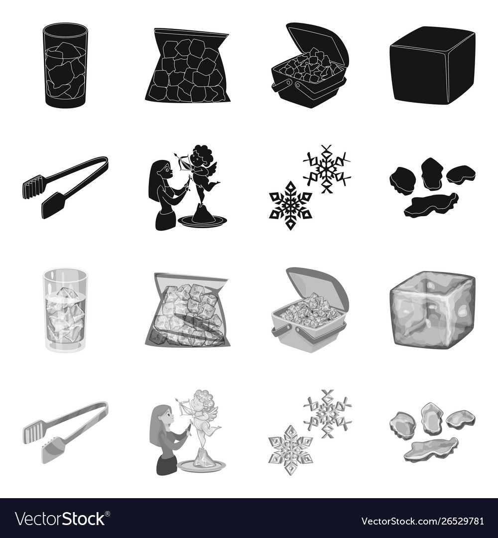 Design texture and frozen symbol set vector image Design texture and frozen symbol set