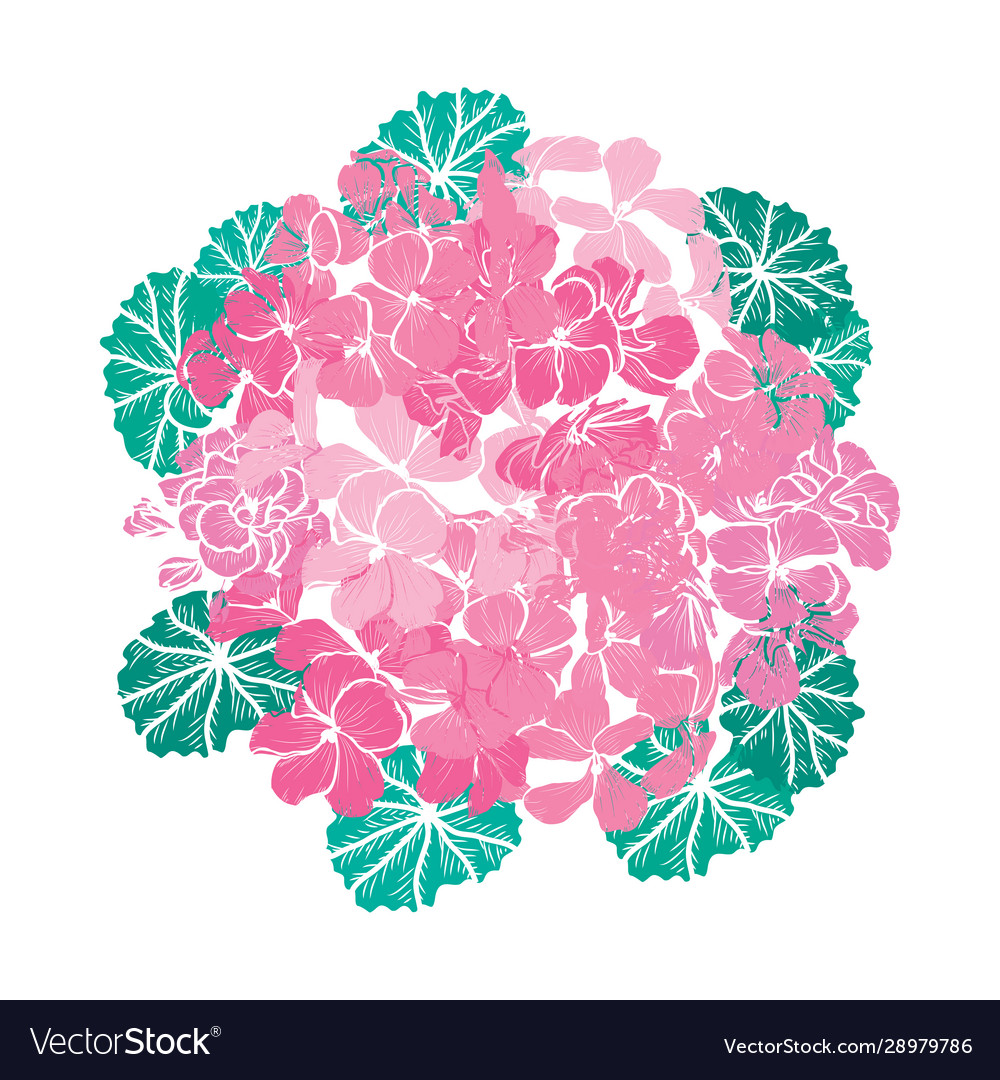 Hand drawn floral decoration vector image Hand drawn floral decoration