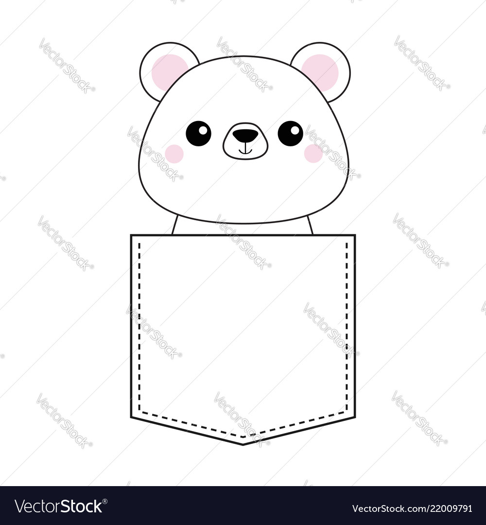 Cute Bear in Pocket
