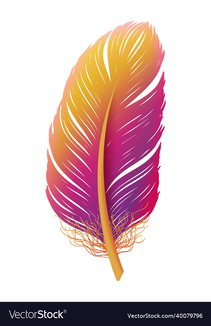 Boho style feather colorful gypsy plumage element vector image Boho style feather colorful gypsy plumage element