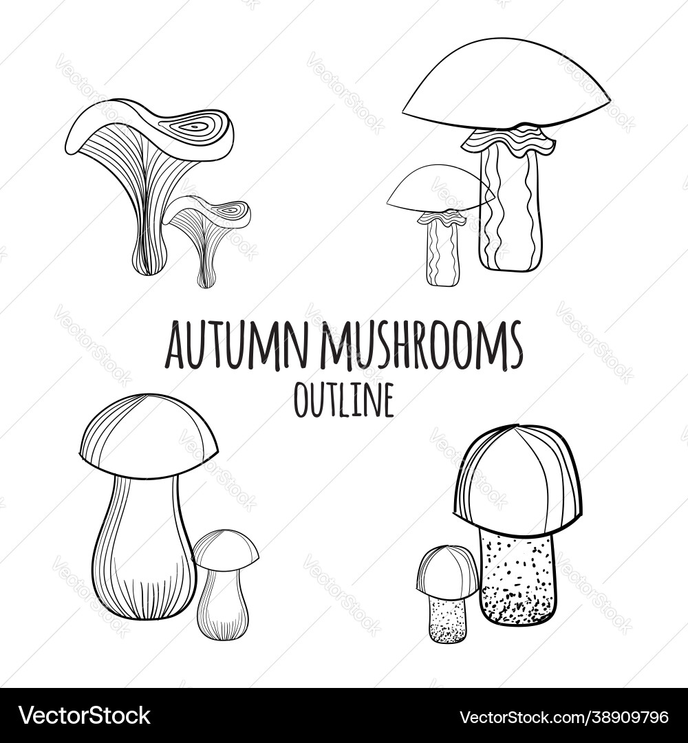 Set hand drawn autumn elements Royalty Free Vector Image
