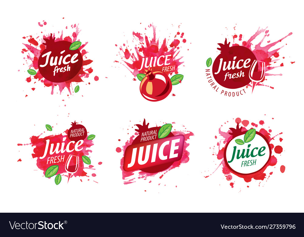 Set logos splashing pomegranate juice Royalty Free Vector