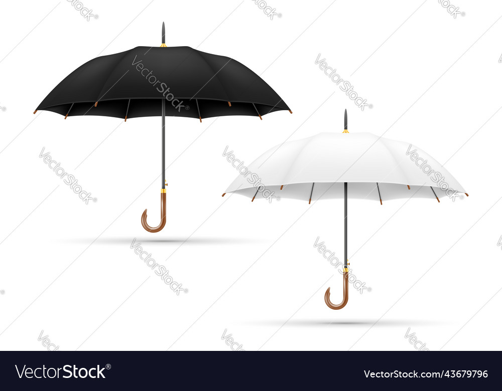 White and black classical umbrella from rain stock