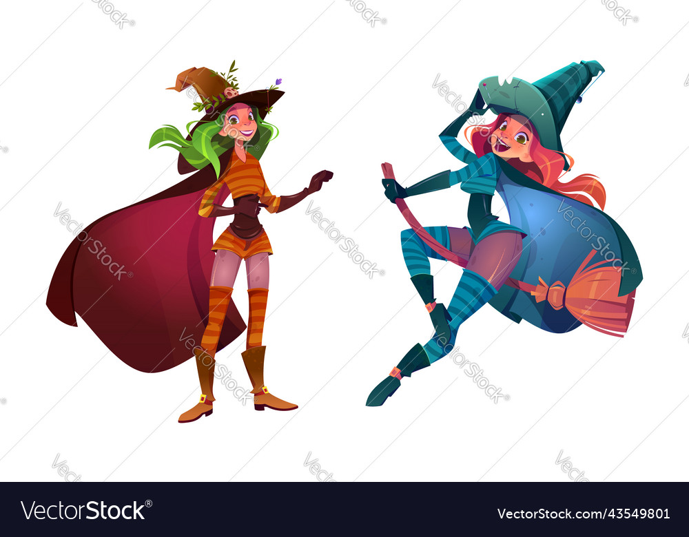 Beautiful young women in witch costumes vector image Beautiful young women in witch costumes