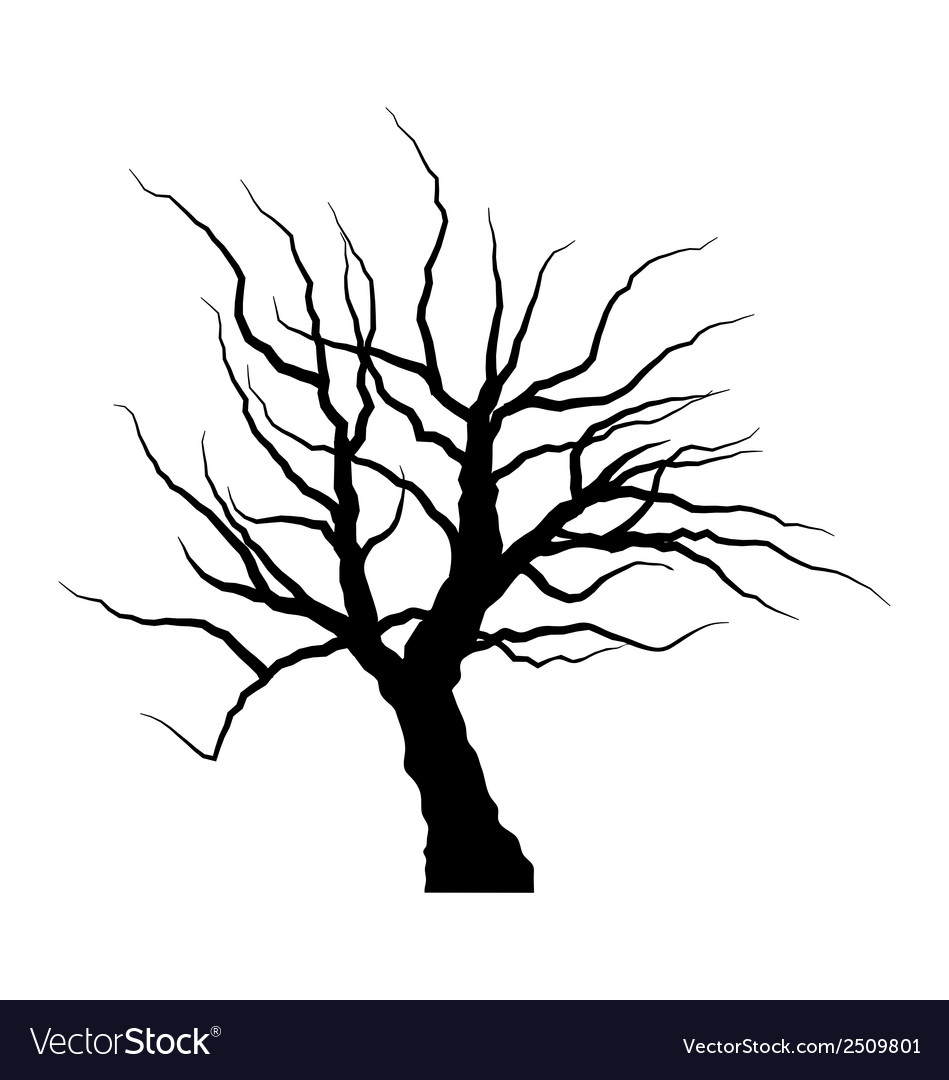 Sketch dead tree without leaves isolated on Vector Image