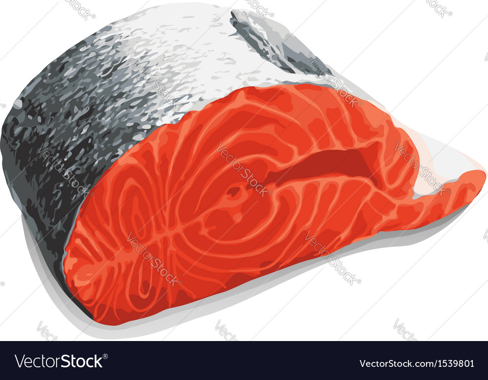 Slice salmon Royalty Free Vector Image - VectorStock