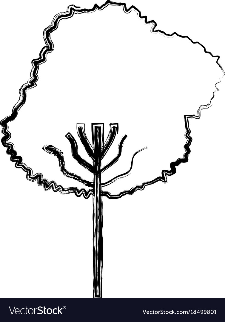 Tree icon image