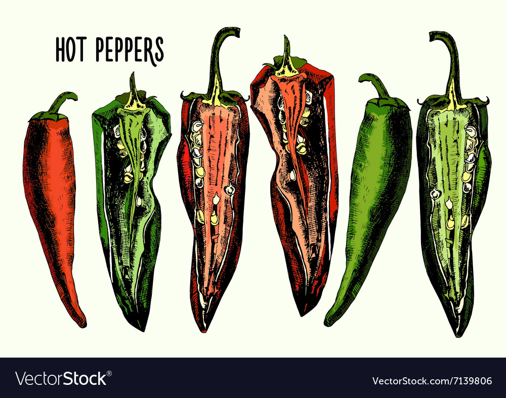 Set of hot peppers