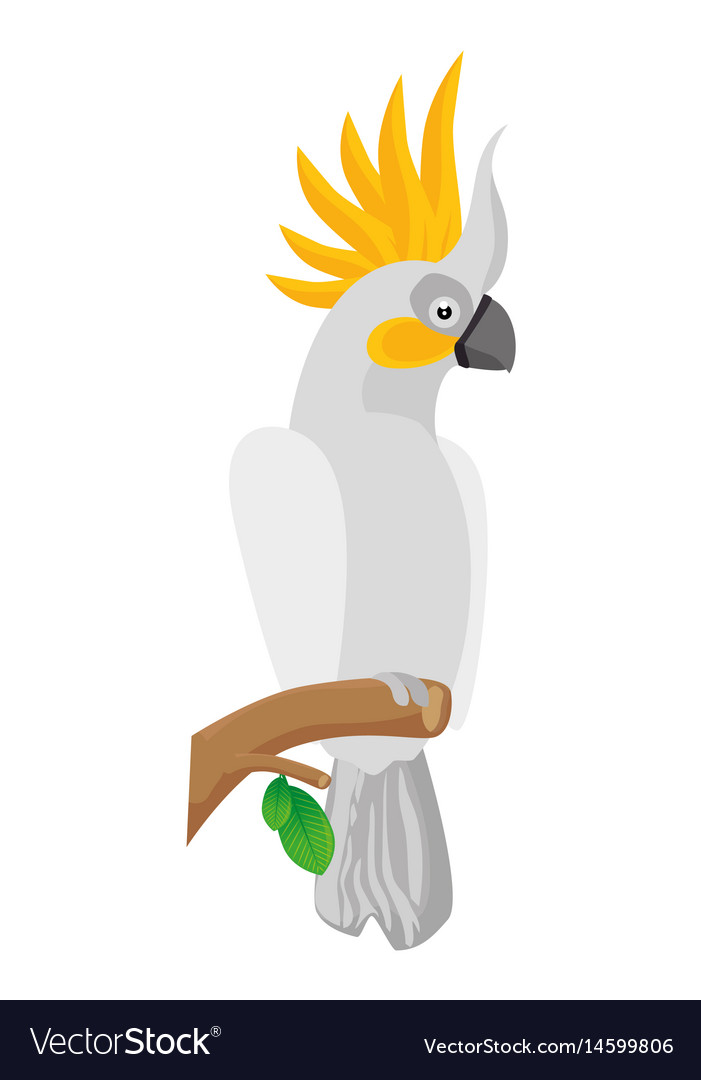 Tropical Parrot Icon