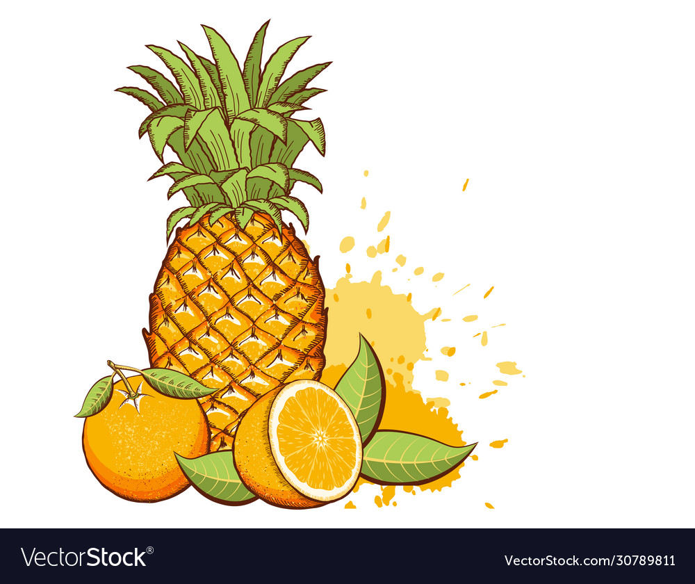 Orange pineapple hotsell