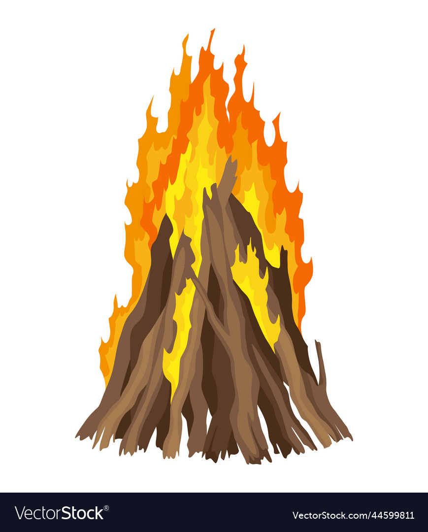 Rustic Campfire Scene