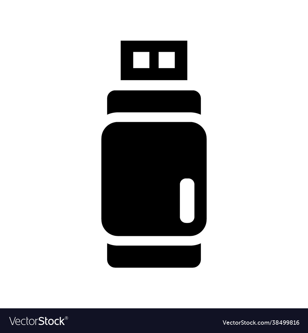 Flash disk icon vector image Flash disk icon