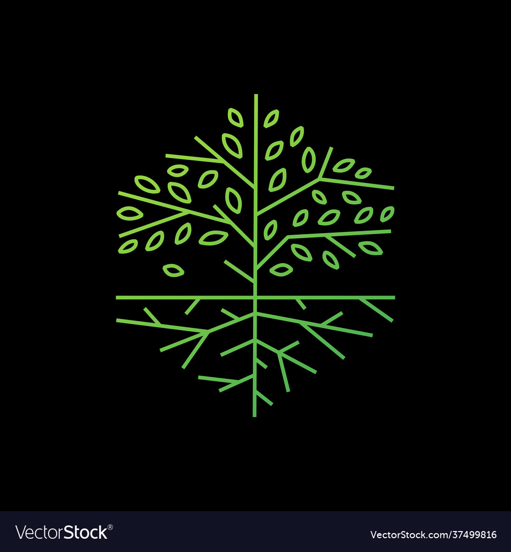 Tree root hexagonal outline logo icon vector image Tree root hexagonal outline logo icon