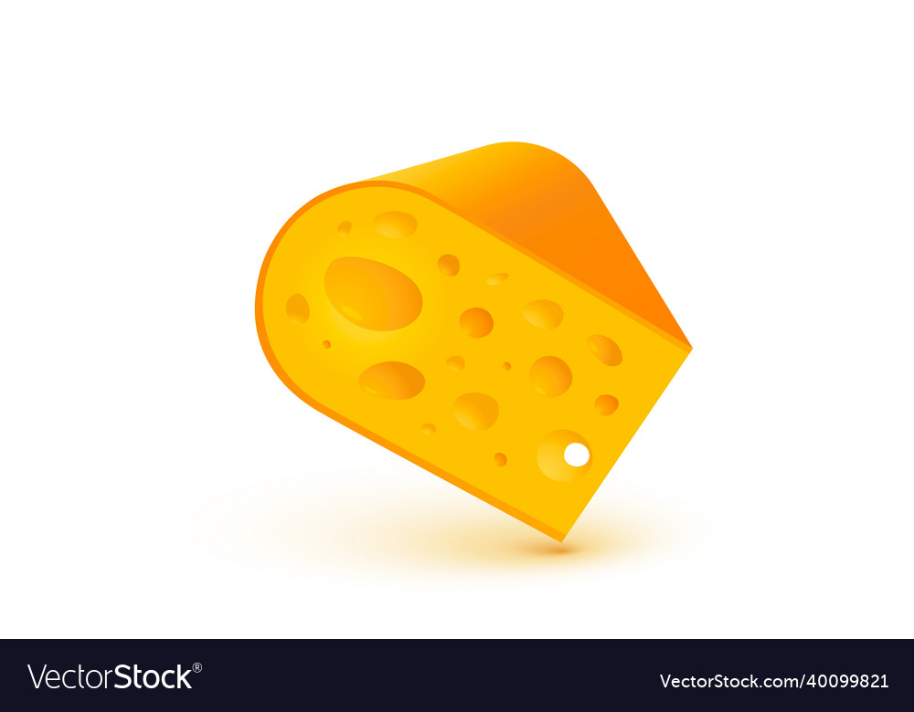 Cheese organic icon food object white background vector image Cheese organic icon food object white background