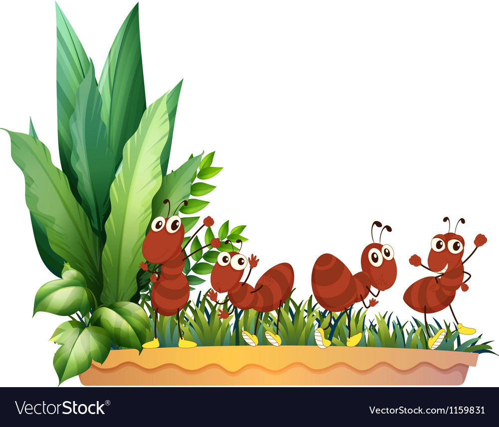 The four ants Royalty Free Vector Image VectorStock