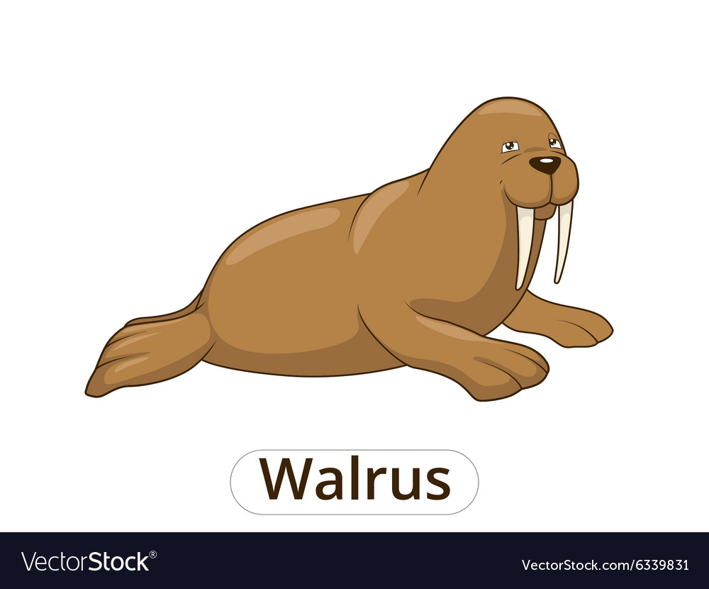 Walrus Cartoon Royalty Free Vector Image - Vectorstock