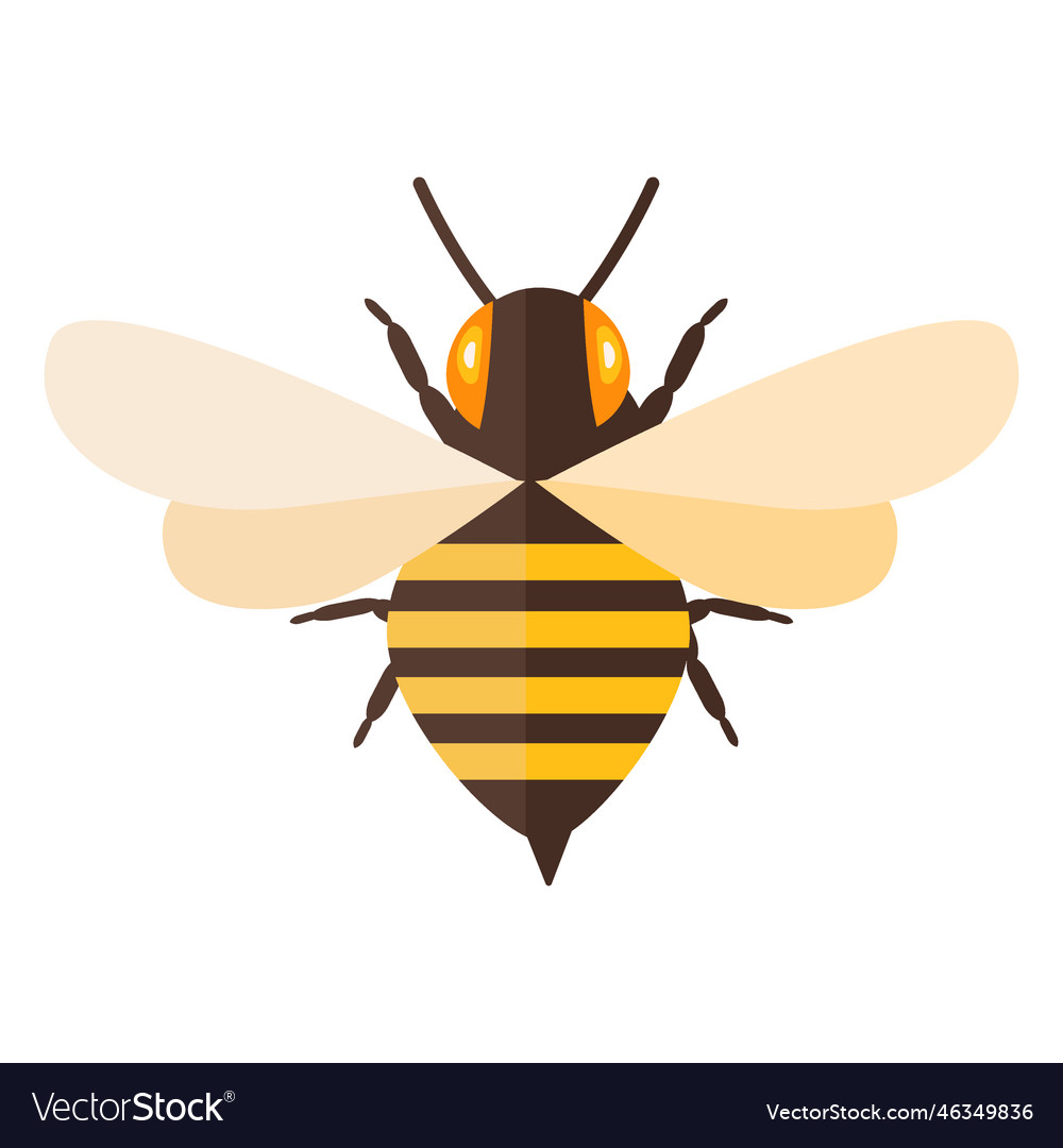 Bee stripe sting wing wasp flat Royalty Free Vector Image