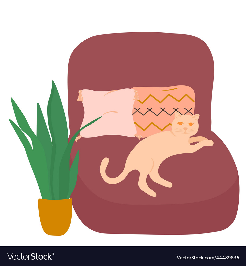 Cozy room a domestic cat lies among soft pillows Vector Image