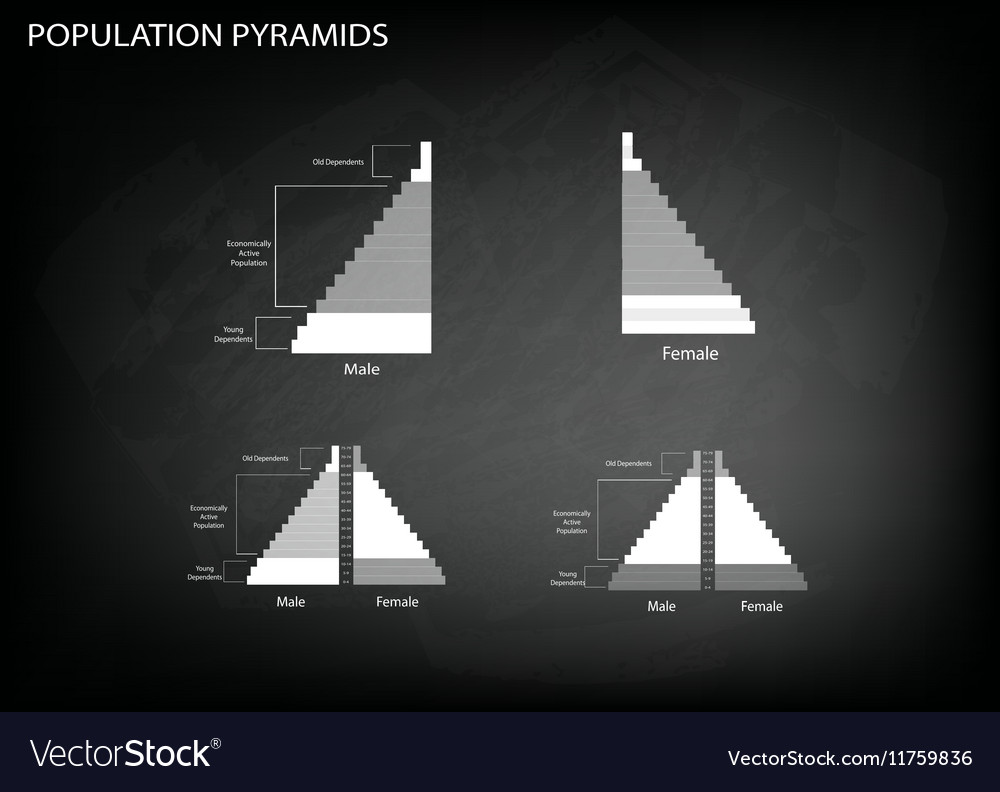 Detail of population pyramids graphs depend on age