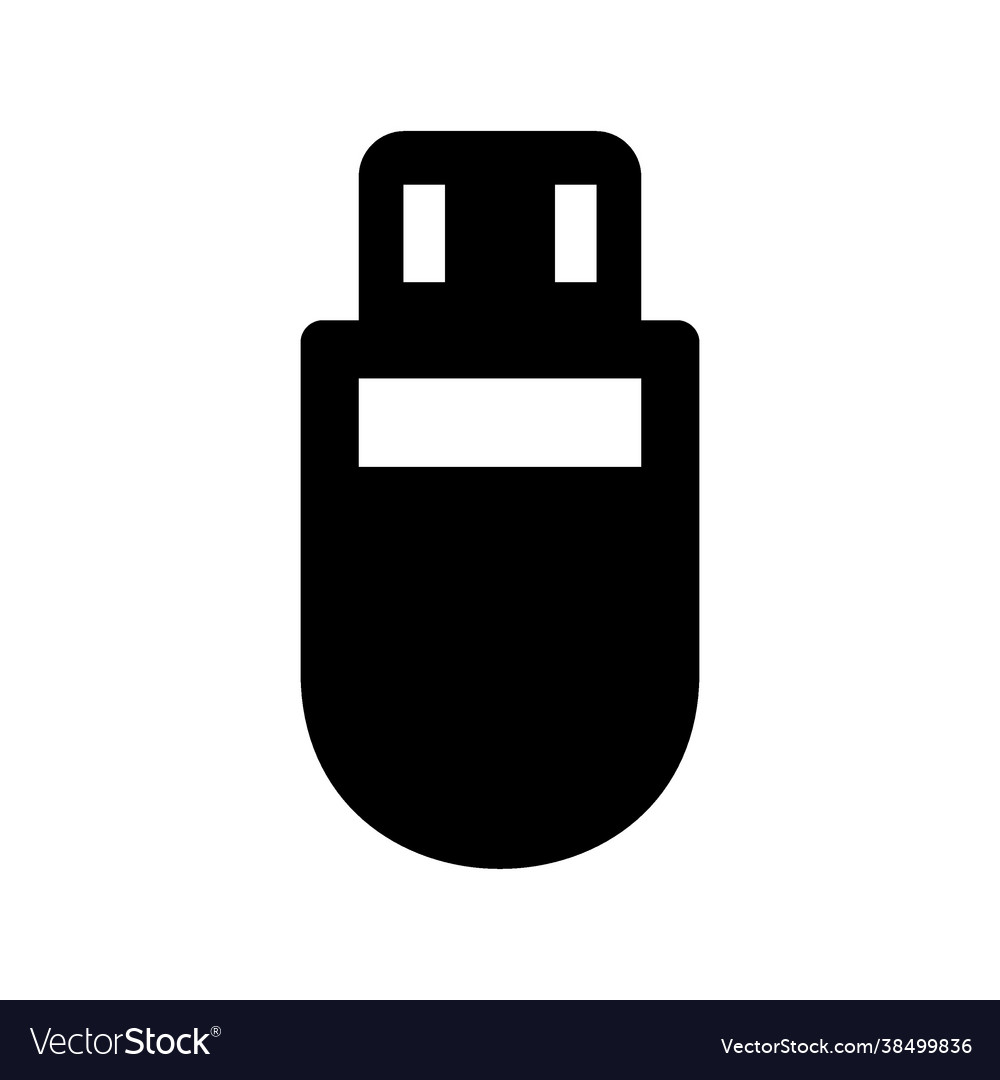 Flash disk icon vector image Flash disk icon