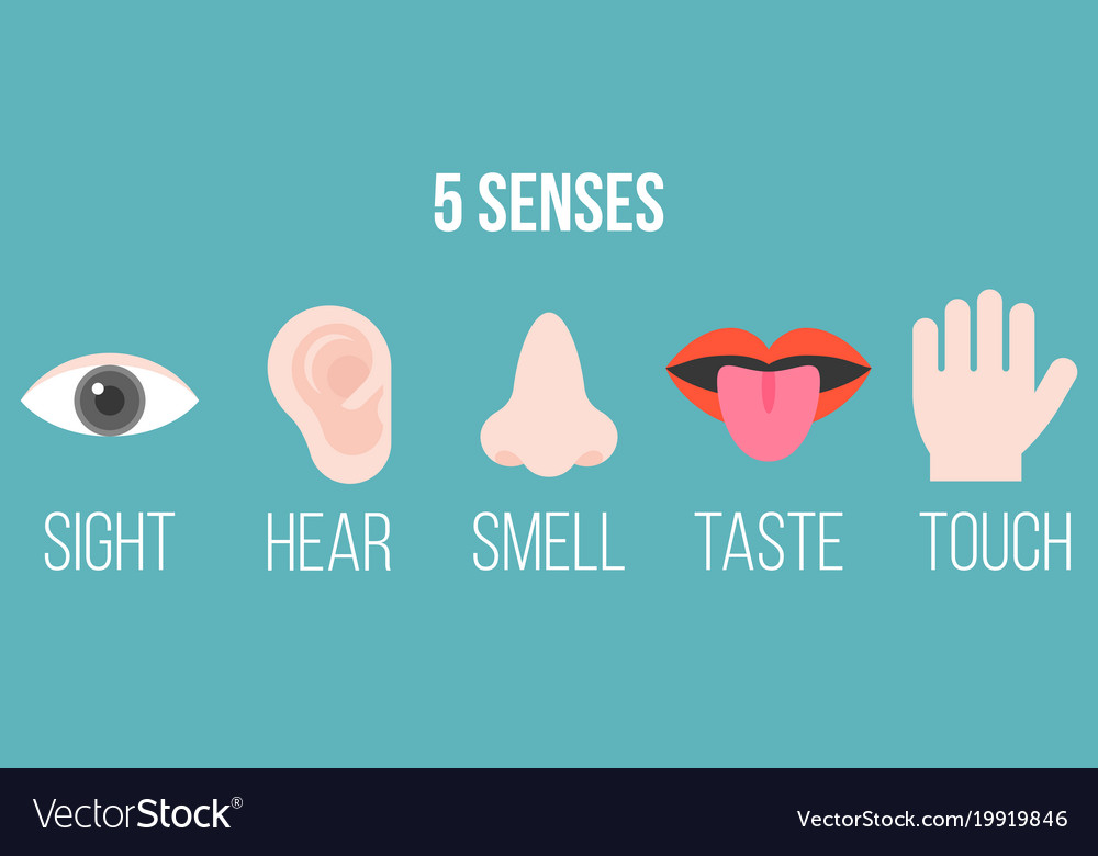 Sense of touch icon flat style hand isolated Vector Image