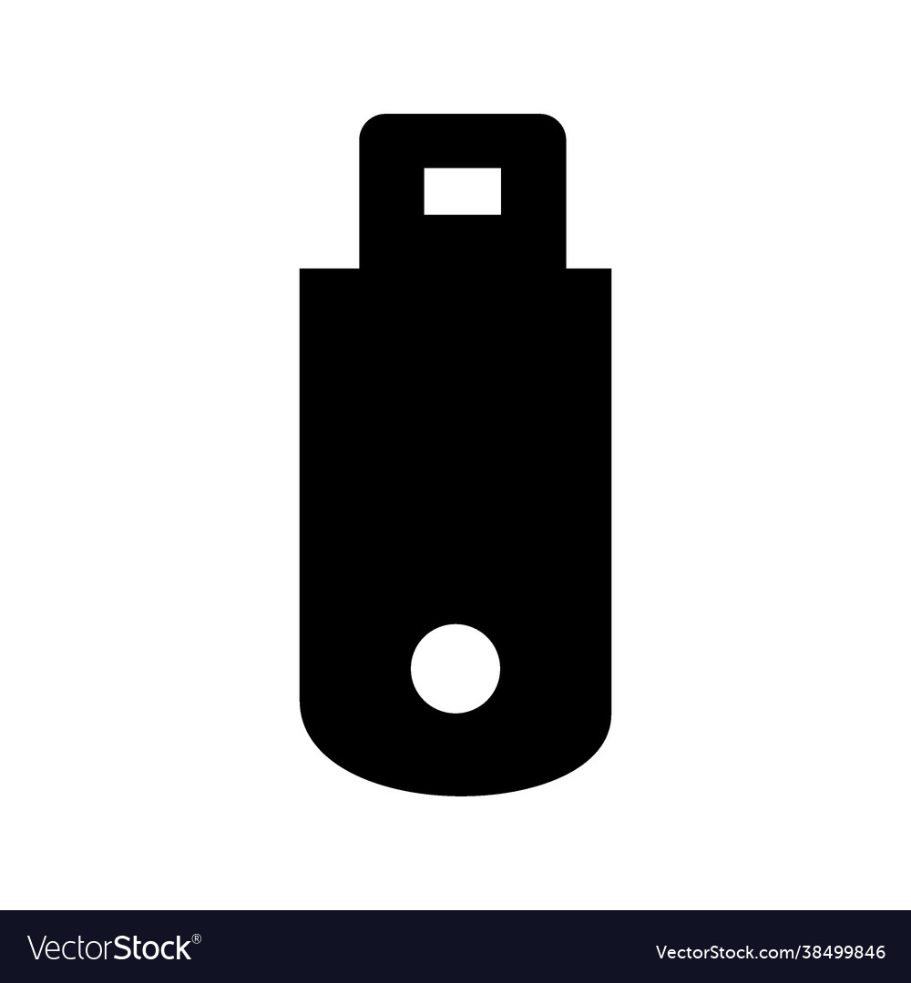 Flash disk icon Vector Image Flash disk icon