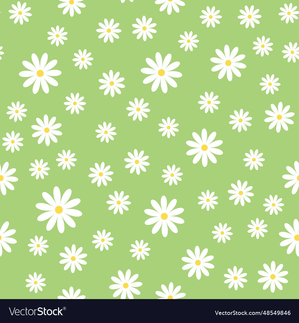 Seamless pattern with chamomile