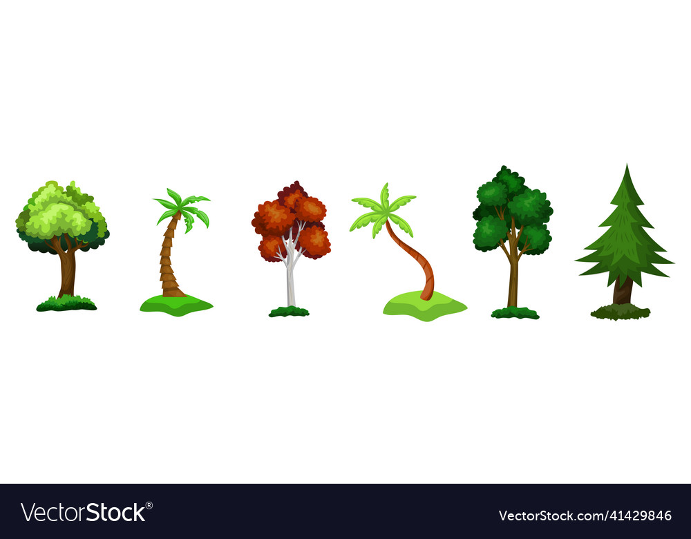 Set of 6 different trees on a white background