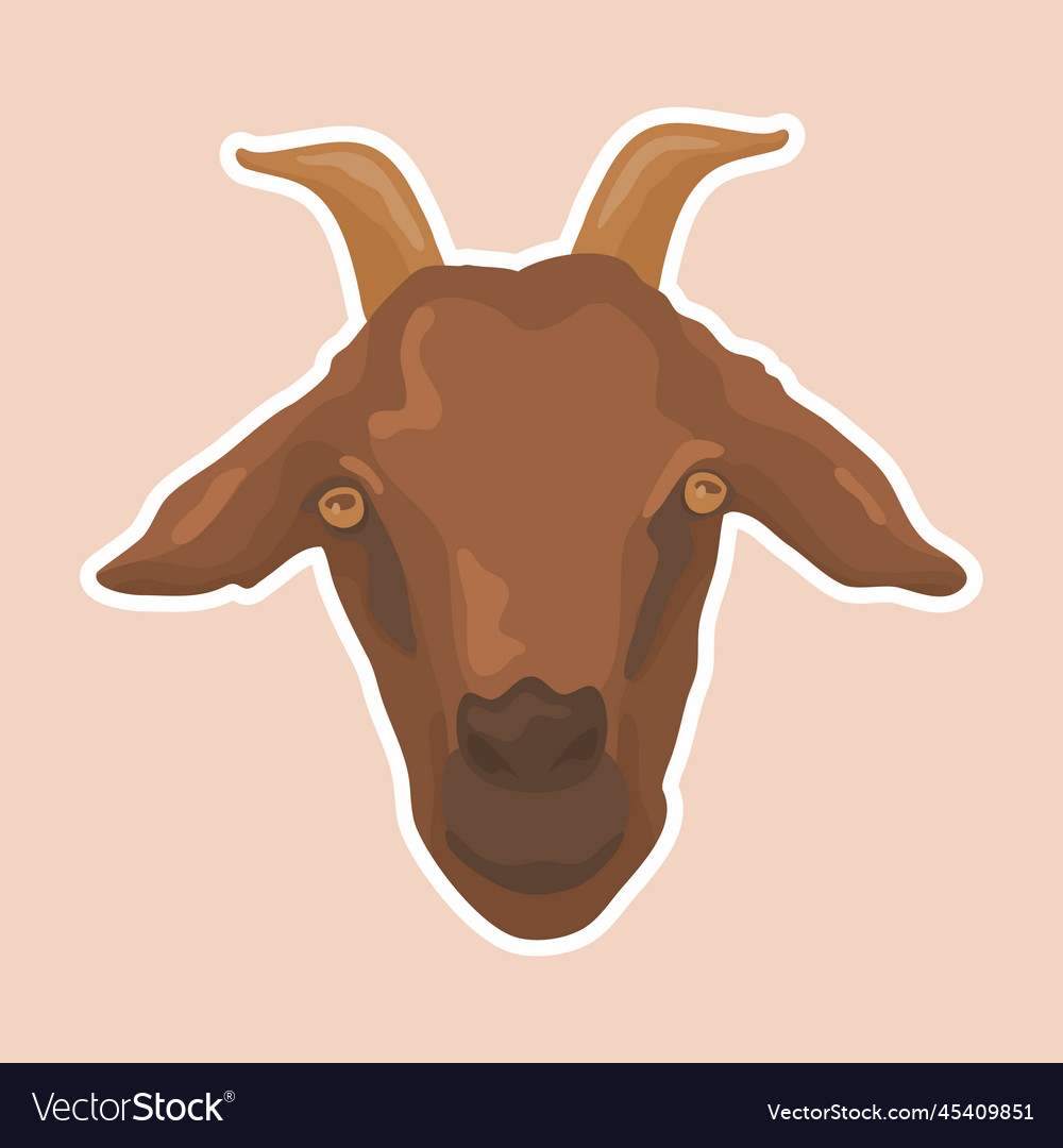A close-up of goats head image goat vector image A close-up of goats head image goat