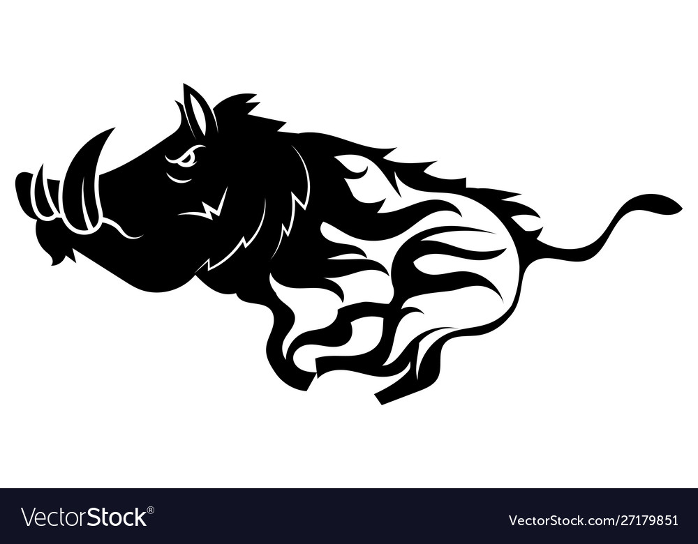 Charging Wild Boar - Schwarz und Weiß