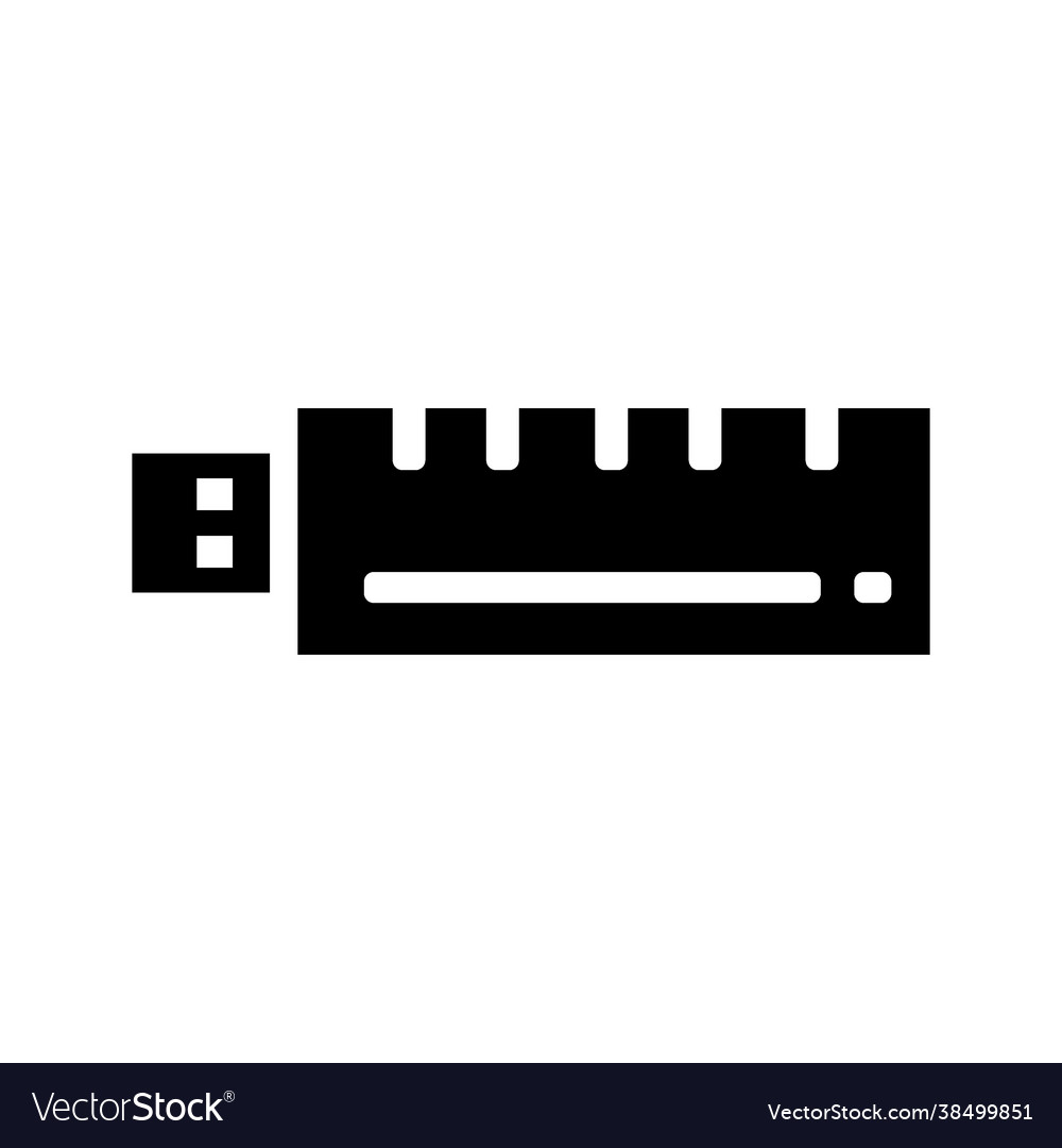 Flash disk icon vector image Flash disk icon