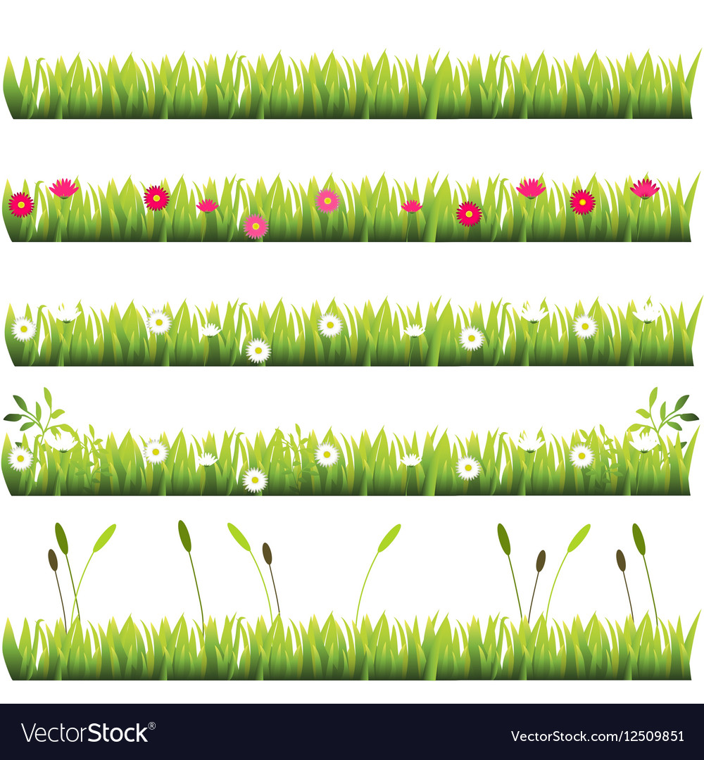 Grass with flowers Royalty Free Vector Image - VectorStock